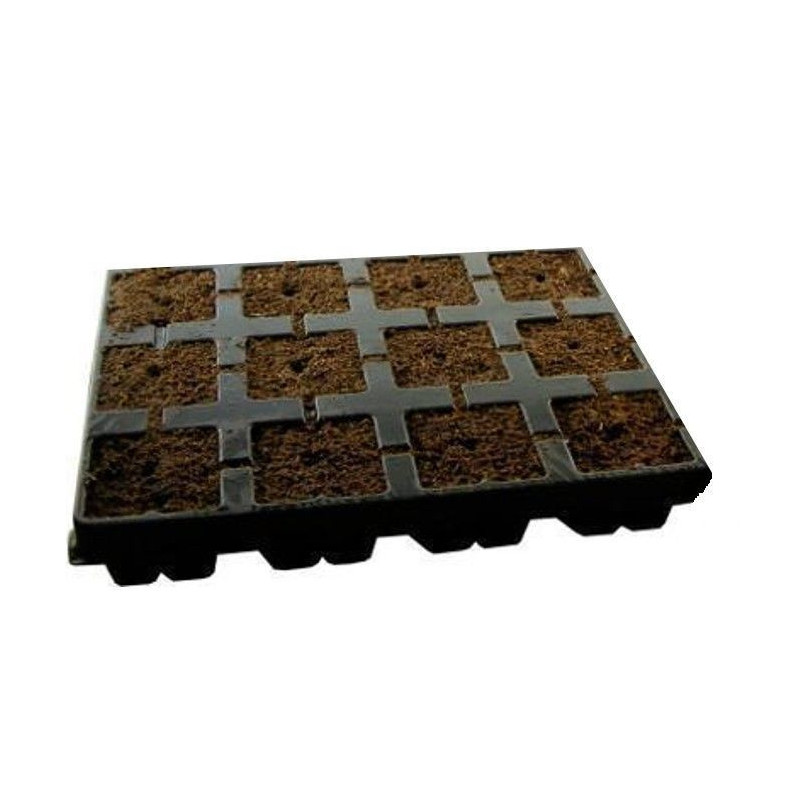 Taca do wysiewu nasion Eazy Plug 12 sztuk Taca do wysiewu nasion Eazy Plug 12 sztuk