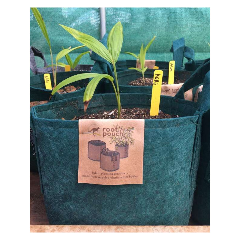 Growbag Root Pouch doniczka materiałowa 35x30cm 30L z uchwytami zielona