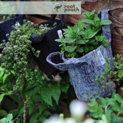 Growbag Root Pouch doniczka materiałowa 40x30cm 39L z uchwytem szara Growbag Root Pouch doniczka materiałowa 40x30cm 39L z uchwytem szara