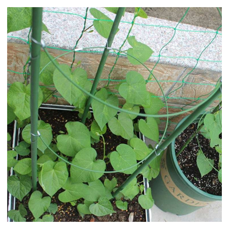 Herbgarden Flower Support Bracket h120cm ϕ28cm - podpórka do roślin Herbgarden Flower Support Bracket h120cm ϕ28cm - podpórka do roślin