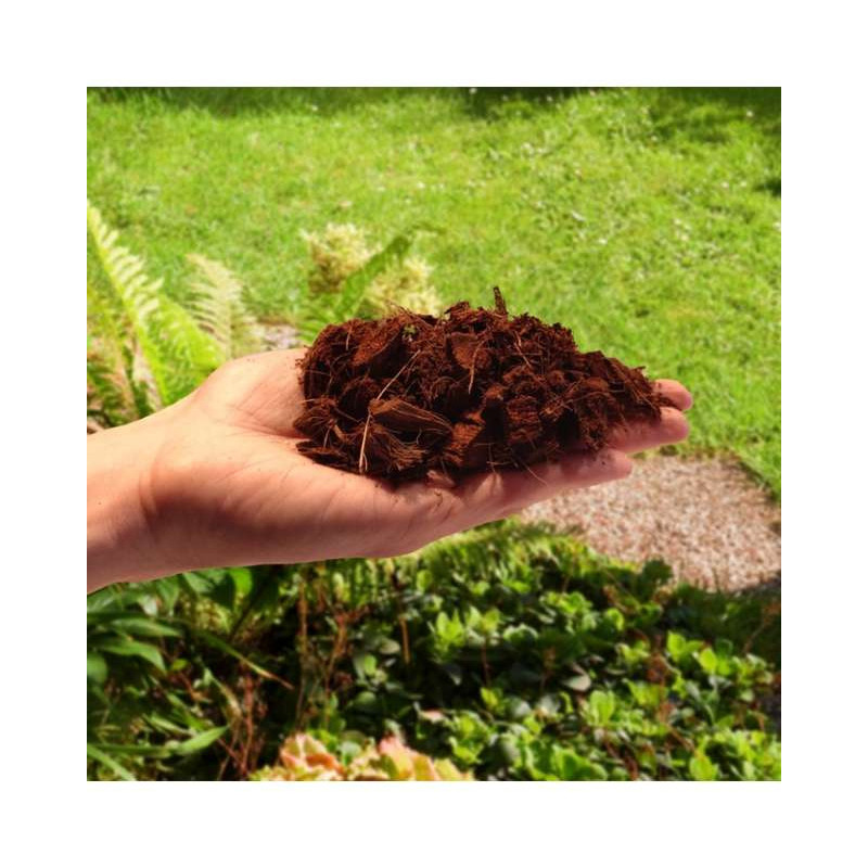 Biovita Czipsy Kokosowe Rozluźnione Coco Chips 5l