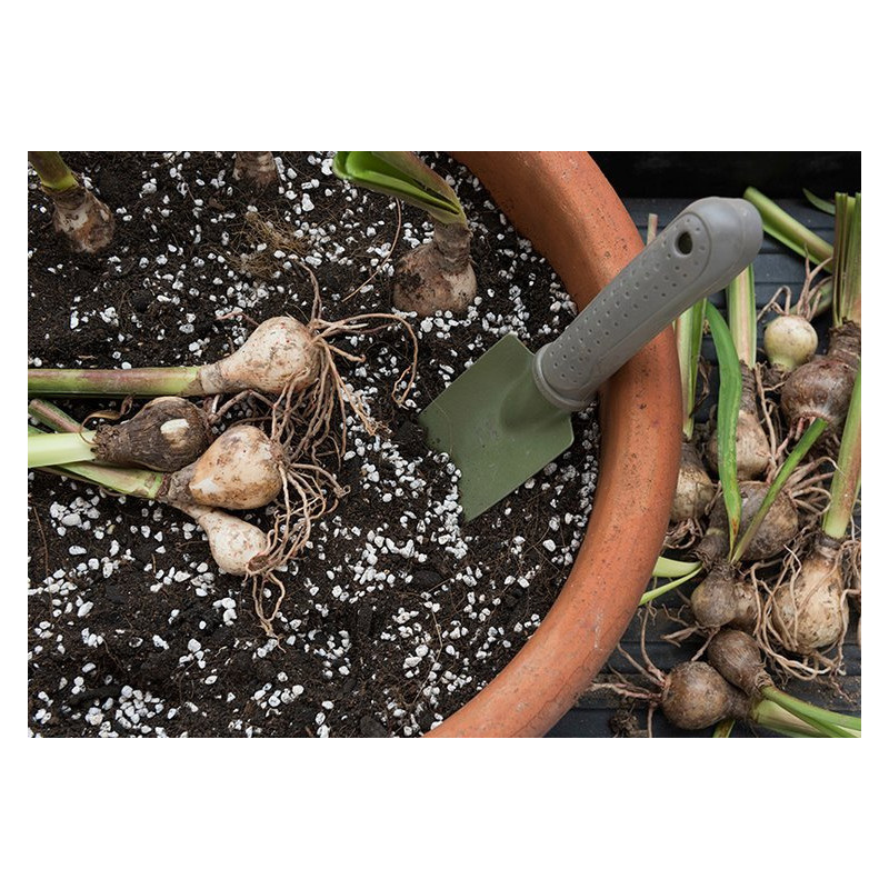 Perlit Agro opakowanie 10L - Biovita Perlit Agro opakowanie 10L - Biovita