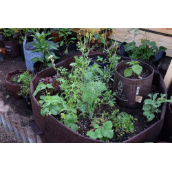 Growbag Root Pouch doniczka materiałowa 29x36cm 22L z uchwytami brązowa