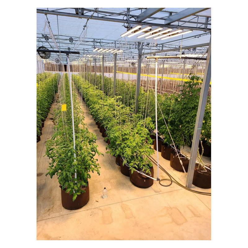 Growbag Root Pouch doniczka materiałowa 29x36cm 22L z uchwytami brązowa