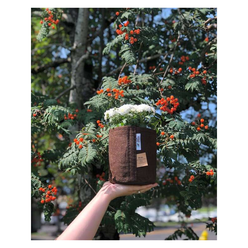 Growbag Root Pouch doniczka materiałowa 29x36cm 22L z uchwytami brązowa