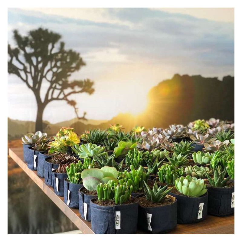 Growbag Root Pouch doniczka materiałowa 29x36cm 22L z uchwytem czarna