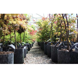 Growbag Root Pouch doniczka materiałowa 29x36cm 22L z uchwytem czarna