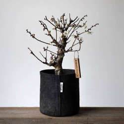 Growbag Root Pouch doniczka materiałowa 29x36cm 22L z uchwytem czarna