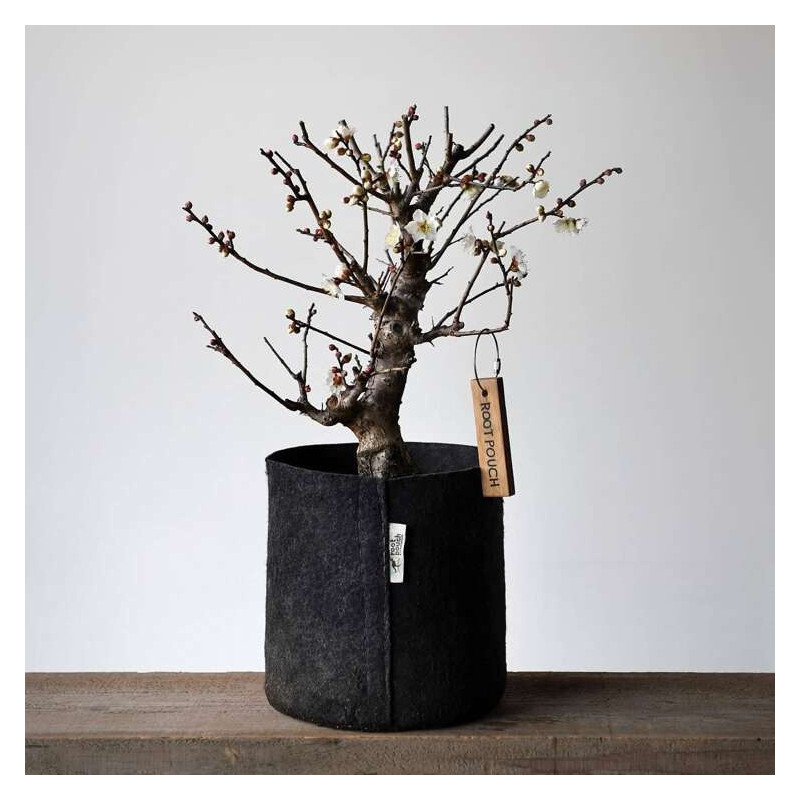 Growbag Root Pouch doniczka materiałowa 29x36cm 22L z uchwytem czarna