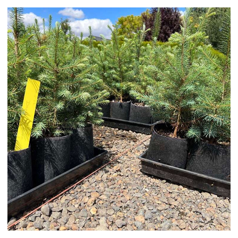 Growbag Root Pouch doniczka materiałowa 29x36cm 22L z uchwytem czarna