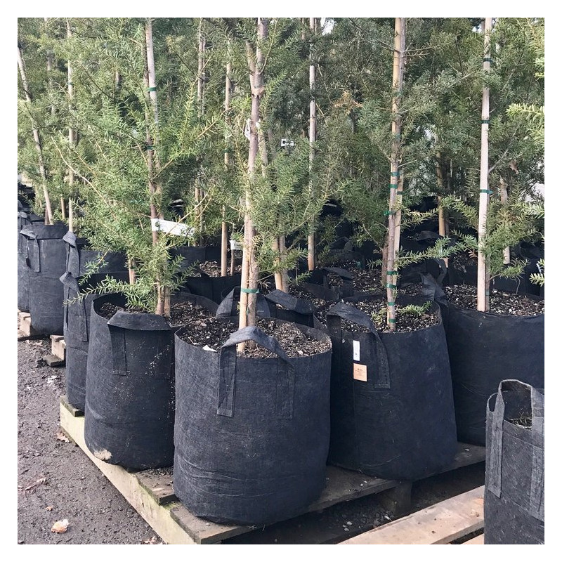 Growbag Root Pouch doniczka materiałowa 29x36cm 22L z uchwytem czarna