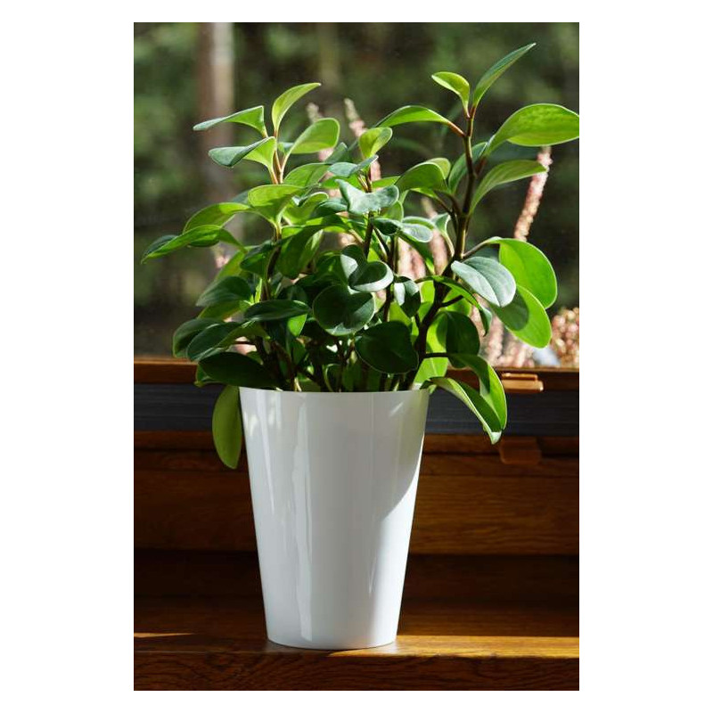 Doniczka ozdobna Tubus Slim Shine 28,6x15cm 3,3L