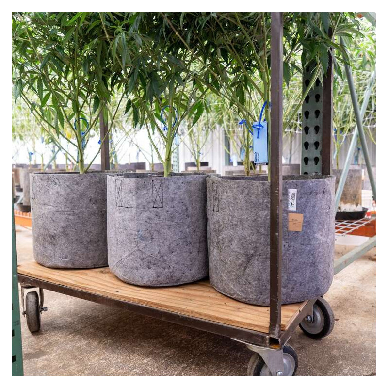 Growbag Root Pouch doniczka materiałowa 29x36cm 22L z uchwytem szara