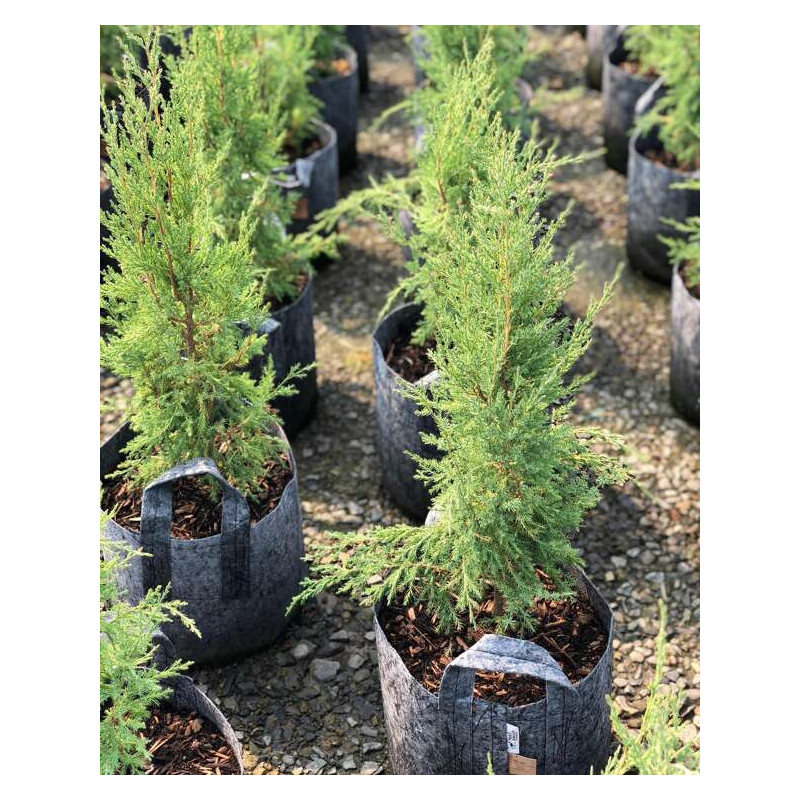 Growbag Root Pouch doniczka materiałowa 29x36cm 22L z uchwytem szara