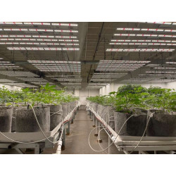 Growbag Root Pouch doniczka materiałowa 29x36cm 22L z uchwytem szara