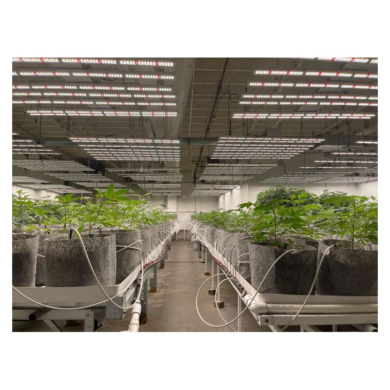 Growbag Root Pouch doniczka materiałowa 29x36cm 22L z uchwytem szara