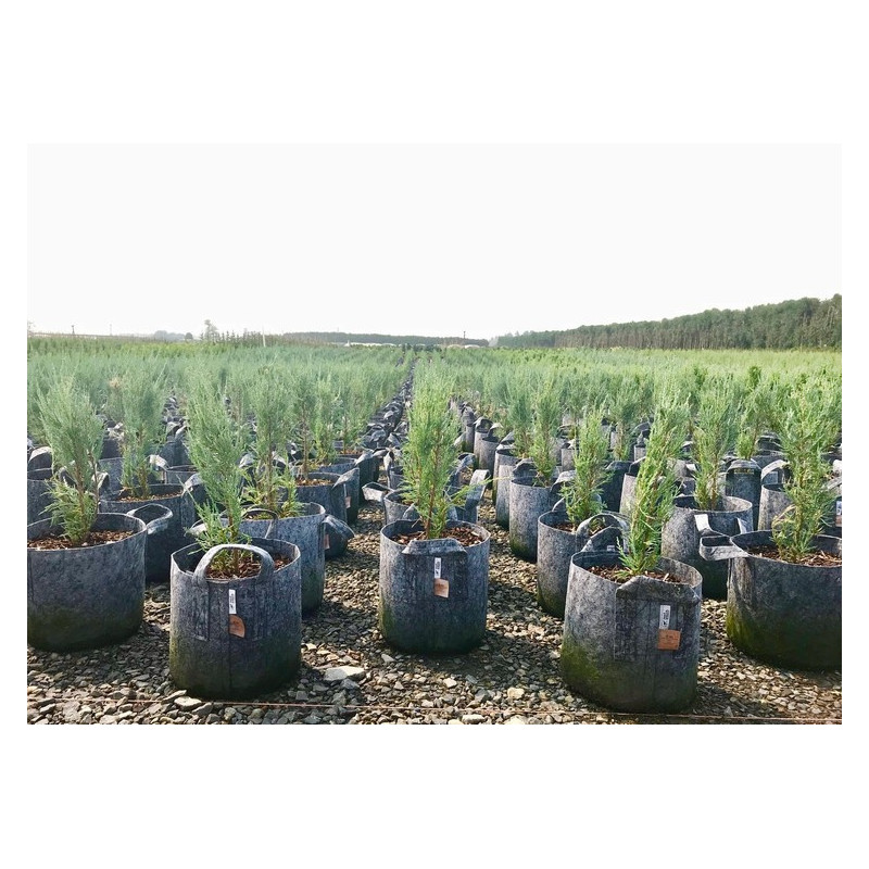 Growbag Root Pouch doniczka materiałowa 29x36cm 22L z uchwytem szara