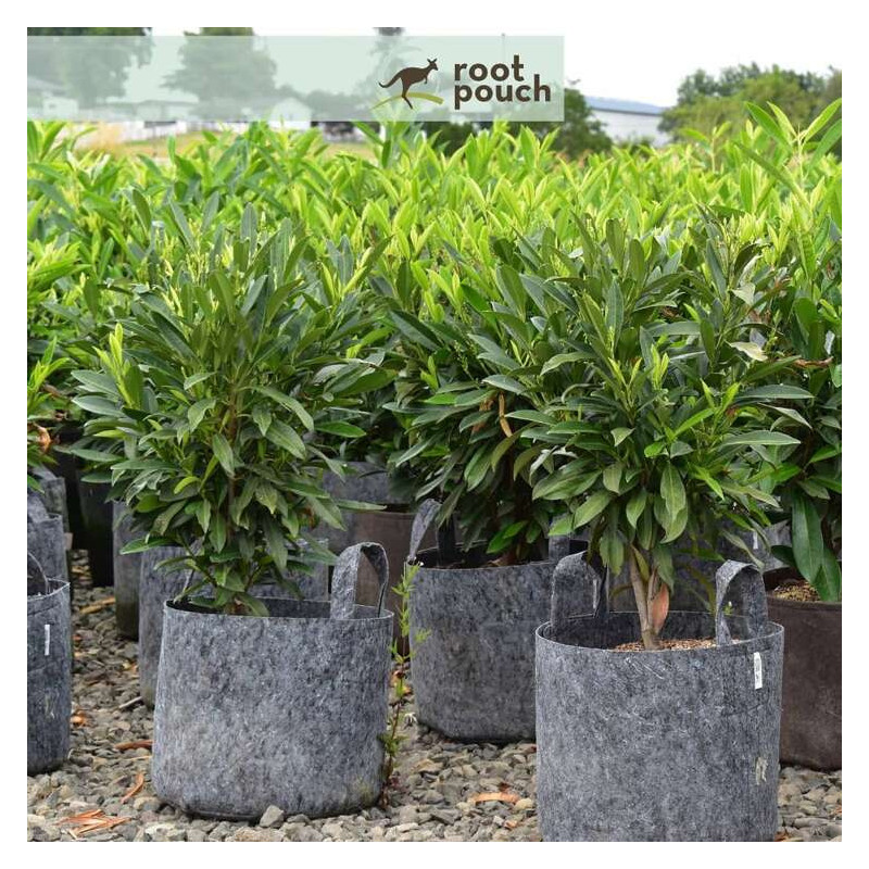 Growbag Root Pouch doniczka materiałowa 29x36cm 22L z uchwytem szara