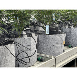 Growbag Root Pouch doniczka materiałowa 29x36cm 22L z uchwytem szara