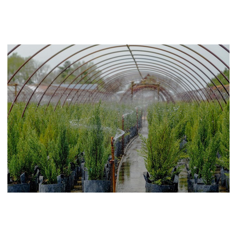 Growbag Root Pouch doniczka materiałowa 29x36cm 22L z uchwytem szara