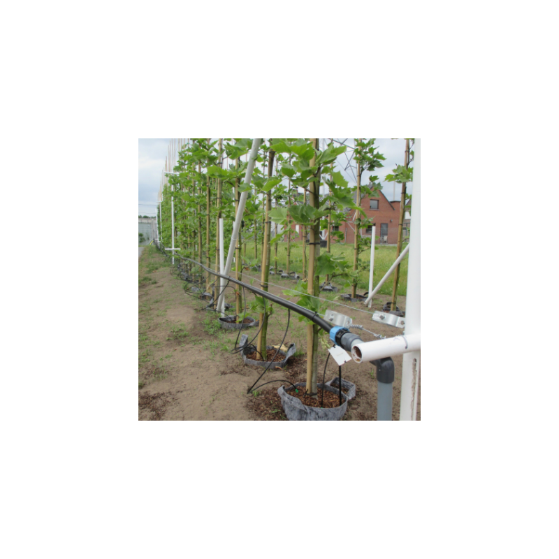 Growbag Root Pouch doniczka materiałowa 29x36cm 22L z uchwytem szara