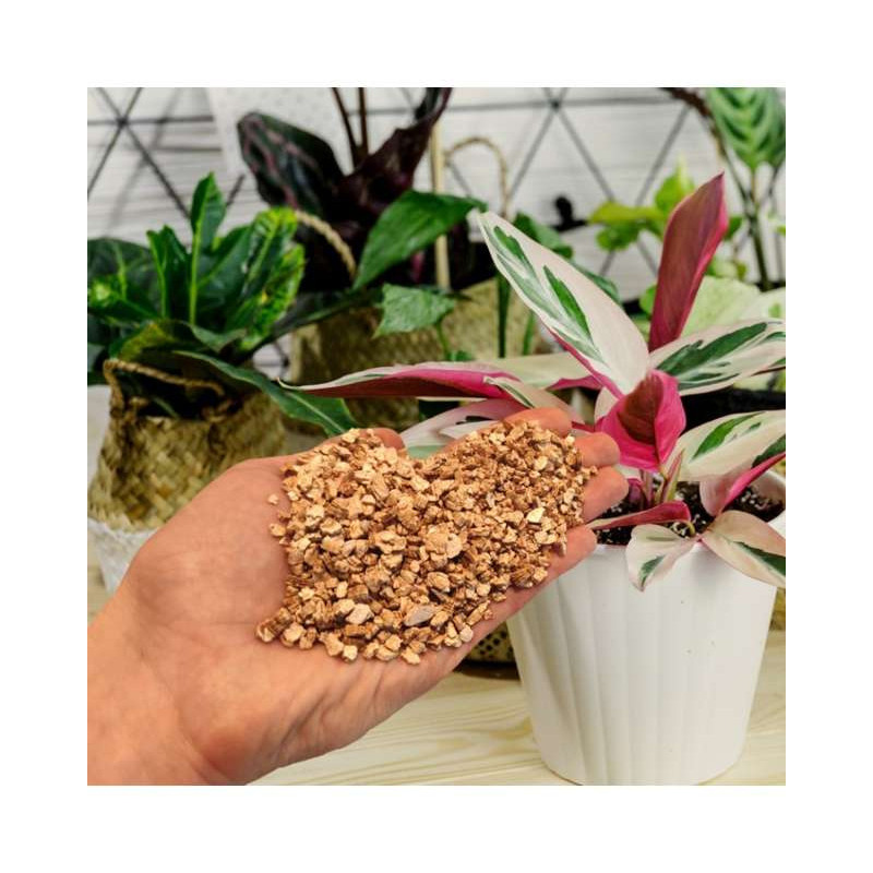 Biovita Wermikulit Ogrodniczy 1-5mm 5L - utrzymuje wodę i nawóz w podłożu