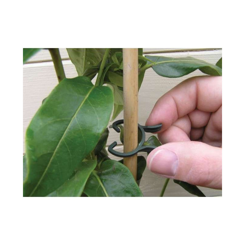 Garland klipsy do wspierania roślin 50szt (20x mały 30x duży)