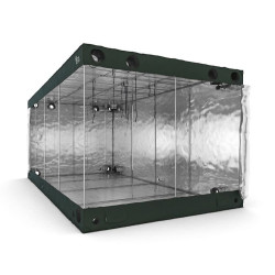 RoyalRoom® High C600H 600x300x250cm namiot do uprawy RoyalRoom® High C600H 600x300x250cm namiot do uprawy
