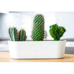 LENI Doniczka na parapet podłużna Flori 27x10x8 cm biała