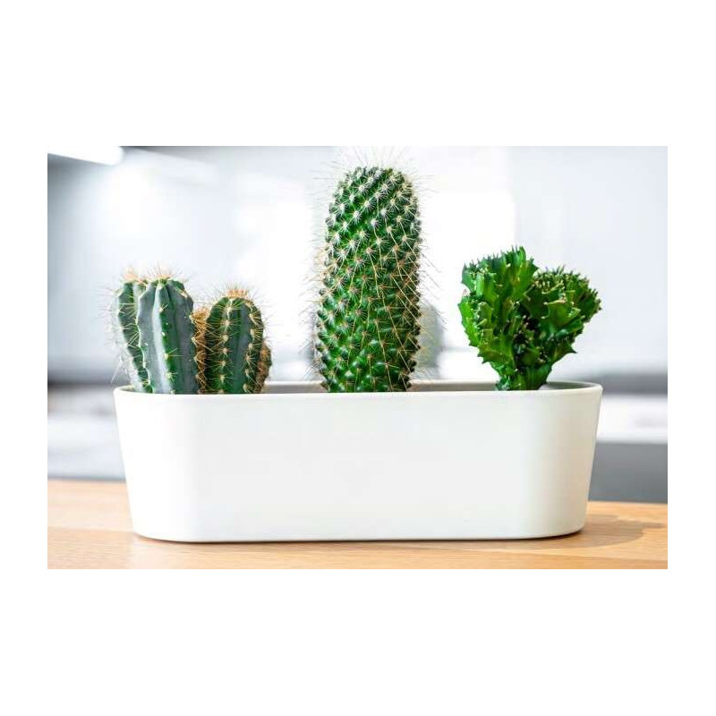 LENI Doniczka na parapet podłużna Flori 27x10x8 cm biała