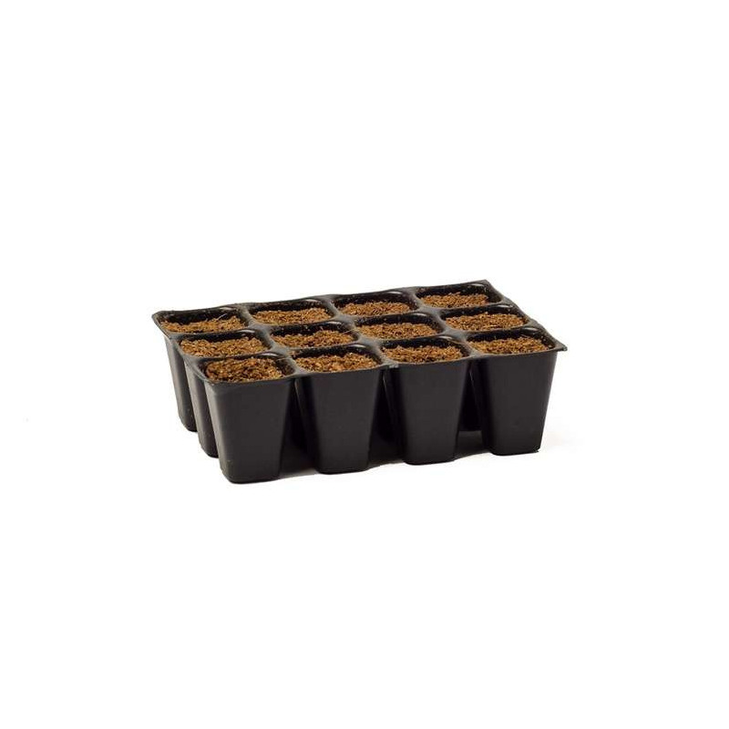 Biotabs Seedplugs 12szt - taca do wysiewu + Startermix (Mycotrex & Bactrex) Biotabs Seedplugs 12szt - taca do wysiewu + Startermix (Mycotrex & Bactrex)