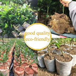 White Grow Bag 9 x 26 cm 50 sztuk 1,65L - biodegradowalne doniczki materiałowe do rozsad White Grow Bag 9 x 26 cm 50 sztuk 1,65L - biodegradowalne doniczki materiałowe do rozsad