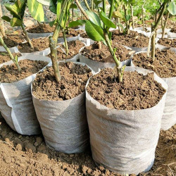 White Grow Bag 9 x 26 cm 50 sztuk 1,65L - biodegradowalne doniczki materiałowe do rozsad White Grow Bag 9 x 26 cm 50 sztuk 1,65L - biodegradowalne doniczki materiałowe do rozsad