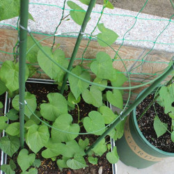 Herbgarden Flower Support Bracket h90cm ϕ28cm - podpórka do roślin Herbgarden Flower Support Bracket h90cm ϕ28cm - podpórka do roślin