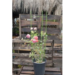 Herbgarden Flower Support Bracket h90cm ϕ28cm - podpórka do roślin Herbgarden Flower Support Bracket h90cm ϕ28cm - podpórka do roślin