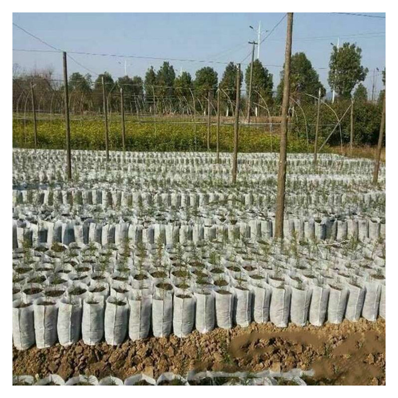 White Grow Bag 10 x 20 cm 50 sztuk 1,57L - biodegradowalne doniczki materiałowe do rozsad White Grow Bag 10 x 20 cm 50 sztuk 1,57L - biodegradowalne doniczki materiałowe do rozsad