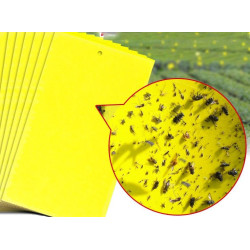 Guard'n'Aid Insect Catcher - Lep pułapka lepowa na owady 5 szt