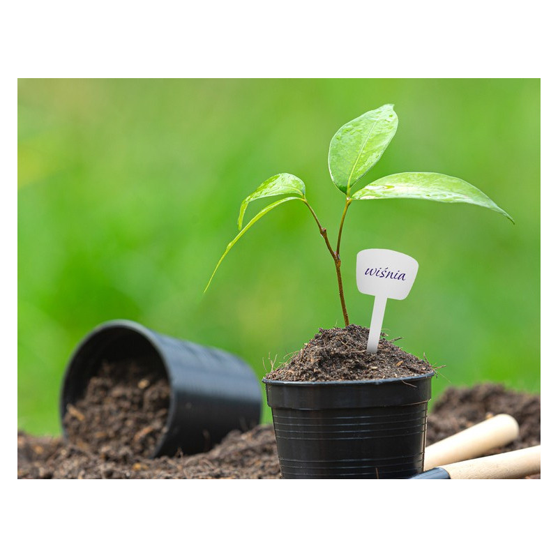 Herbgarden Plant Tags - białe etykiety do oznaczania roślin 20szt Herbgarden Plant Tags - białe etykiety do oznaczania roślin 20szt