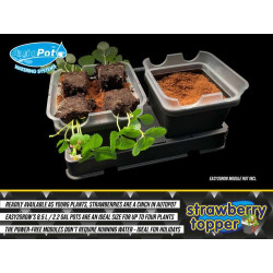 Autopot Strawberry pot topper nakładka na doniczkę 8,5L Autopot Strawberry pot topper nakładka na doniczkę 8,5L