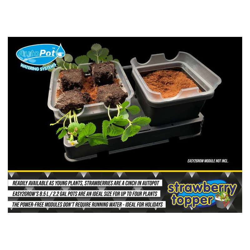 Autopot Strawberry pot topper nakładka na doniczkę 8,5L Autopot Strawberry pot topper nakładka na doniczkę 8,5L