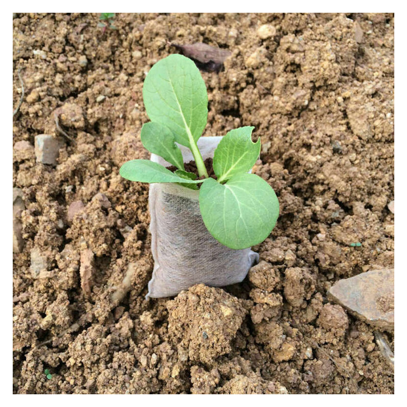 White Grow Bag 8 x 20 cm 50 sztuk 1L - biodegradowalne doniczki materiałowe do rozsad White Grow Bag 8 x 20 cm 50 sztuk 1L - biodegradowalne doniczki materiałowe do rozsad