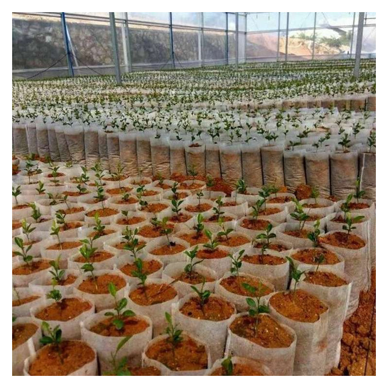White Grow Bag 8 x 20 cm 50 sztuk 1L - biodegradowalne doniczki materiałowe do rozsad White Grow Bag 8 x 20 cm 50 sztuk 1L - biodegradowalne doniczki materiałowe do rozsad