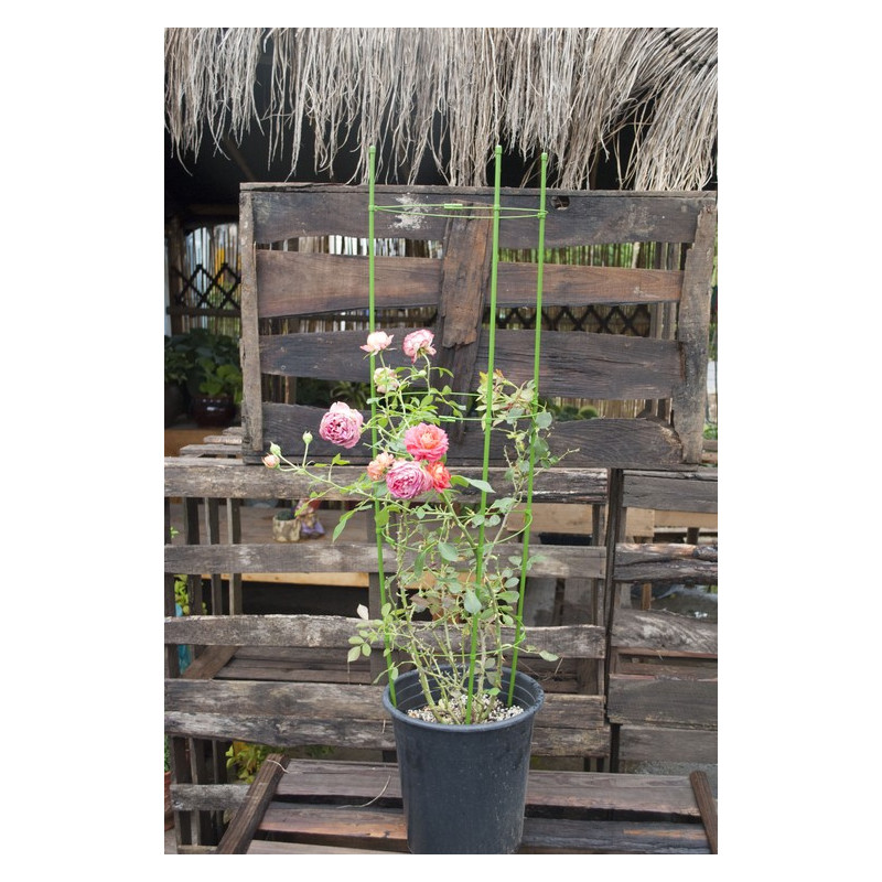 Herbgarden Flower Support Bracket h45cm ϕ22cm - podpórka do roślin Herbgarden Flower Support Bracket h45cm ϕ22cm - podpórka do roślin