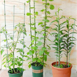 Herbgarden Flower Support Bracket h45cm ϕ22cm - podpórka do roślin Herbgarden Flower Support Bracket h45cm ϕ22cm - podpórka do roślin