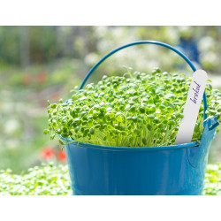 Herbgarden Plant Tags - białe etykiety do oznaczania roślin 30szt