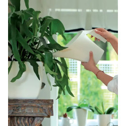 Konewka ogrodowa 2L Coubi Antracyt IDUKON2