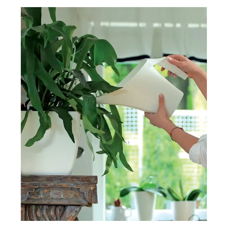 Konewka ogrodowa 2L Coubi Antracyt IDUKON2