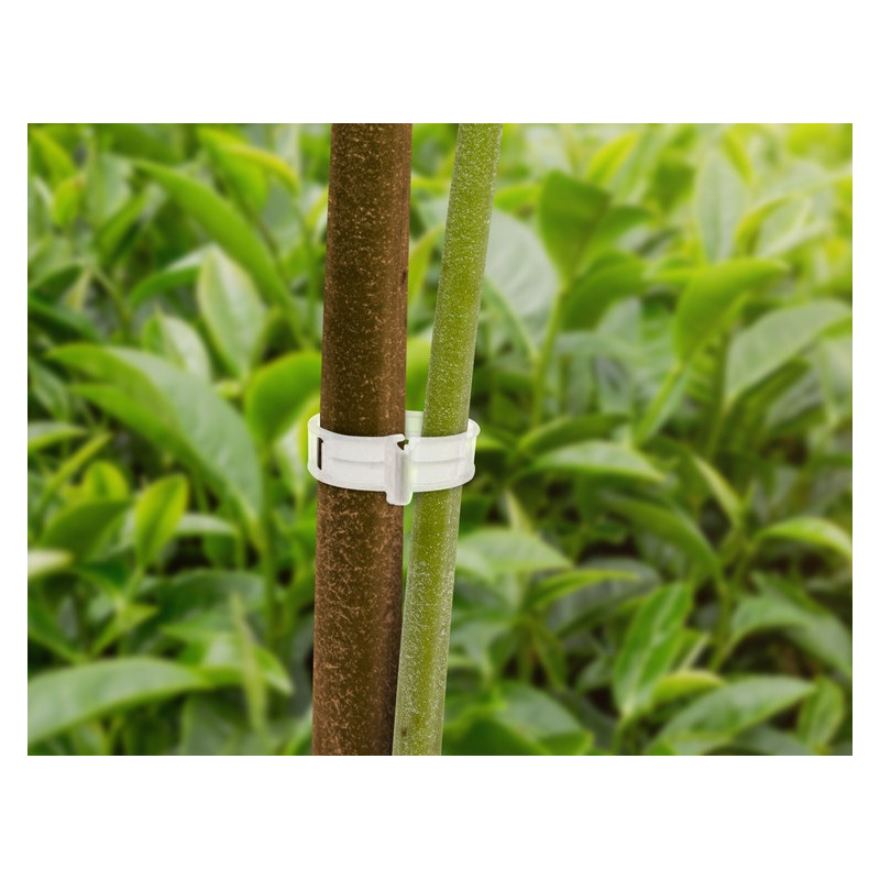 Herbgarden Plant Support Clips - klipsy do roślin 50szt