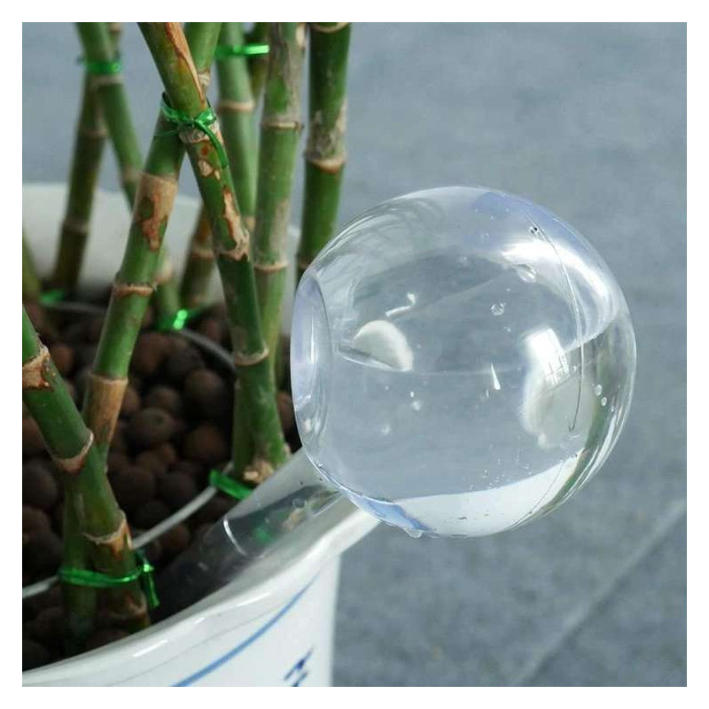 Kula nawadniająca do roślin przezroczysta XXL 26x8cm