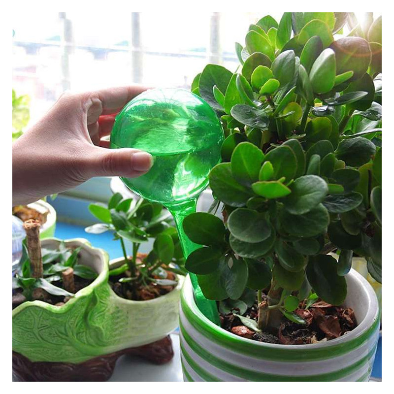 Kula nawadniająca do roślin przezroczysta XXL 26x8cm